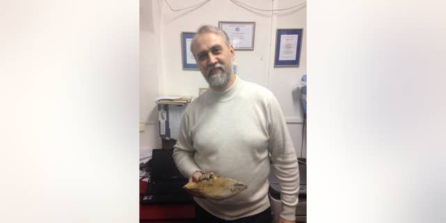 Andrey Shpanski, paleontologist at Tomsk State University (Tomsk State University)