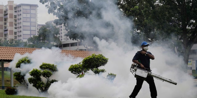 A pest control worker fumigates drains and the gardens at a local housing estate where the latest case of Zika infections were reported from on Thursday, Sept. 1, 2016, in Singapore. Indonesia is screening travelers from neighboring Singapore for the mosquito-borne Zika virus as the city-state reports a growing number of infections and its first case of a pregnant woman testing positive. (AP Photo/Wong Maye-E)