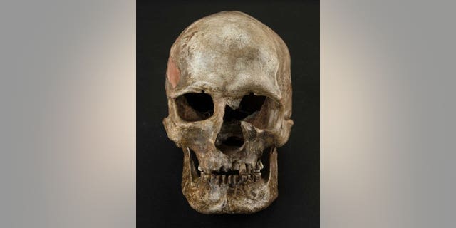 Dolnte Vestonice burial 16, South Moravia, Czech Republic. (Martin Frouz)