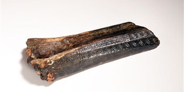The decorated bison bone recovered from the North Sea (Dutch National Museum of Antiquities)