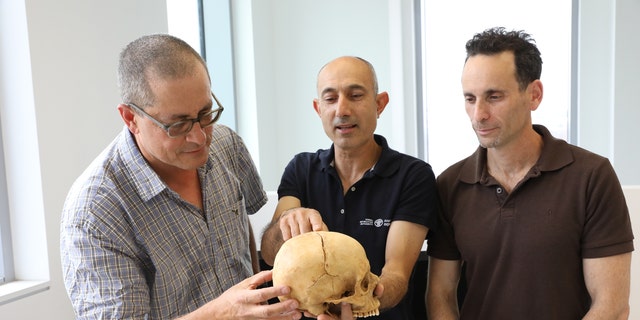 Left to right: Prof. Boaz Zissu of Bar-Ilan University, Dr. Yossi Nagar of the Israel Antiquities Authority and Dr. Haim Cohen of the National Center for Forensic Medicine and Tel Aviv University with the skull (Israel Antiquities Authority)