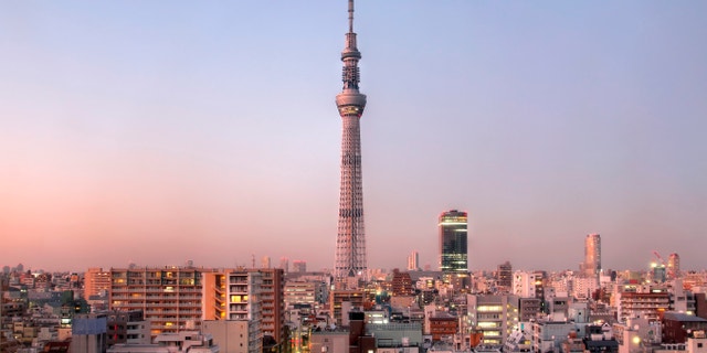 Tokyo skyline at sunset with Tokyo Sky Tree (634m), the highest free-standing structure in Japan and 2nd in the world. The communication tower to open in the first months of 2012 is build in Sumida ward of Tokyo. The image captures the tower in december 2011, prior to its inauguration. The structure is complete, but work continues on the decoration of the observation decks and installation of the antennas and equipment.