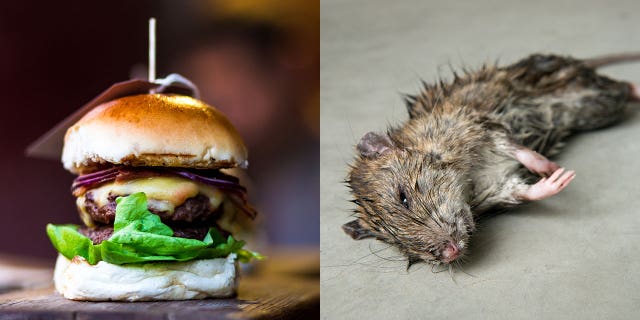 The man claims he was eating a slider, much like the one pictured above, when he bit into the gross little mouse, which actually looked a lot grosser than the one pictured above.