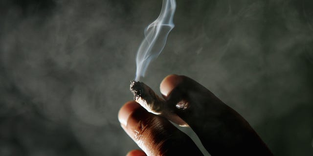 SAN FRANCISCO - NOVEMBER 29: Jonathan Beaver of San Francisco holds a marijuana cigarette at the San Francisco Patients Cooperative, a medical cannabis cooperative, November 29, 2004 in San Francisco, California. The U.S. Supreme Court is considering whether people who have a doctor's recommendation to use medicinal marijuana in 11 states with medical marijuana laws, can get around a federal ban on using marijuana. (Photo by Justin Sullivan/Getty Images)