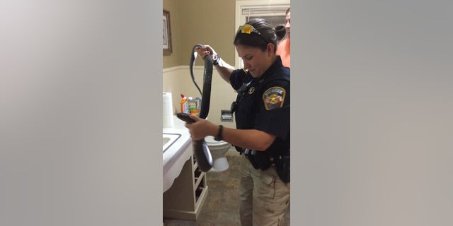 The sheriff's office says the snake wasn't hurt.