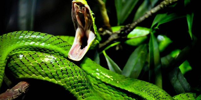 OK, so it was only probably just posing for the photo!