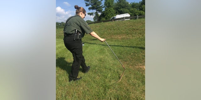 An Animal Warden moved the rattlesnake to a safe location.