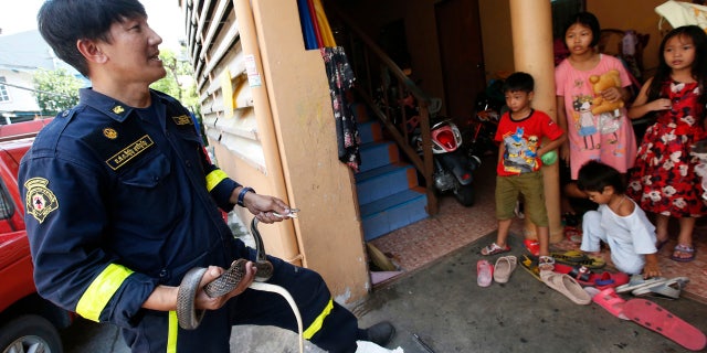 In this Oct. 6, 2017, photo, fireman Phinyo Pukphinyo, left, holds a sunbeam snake after catching at a house in Bangkok, Thailand.