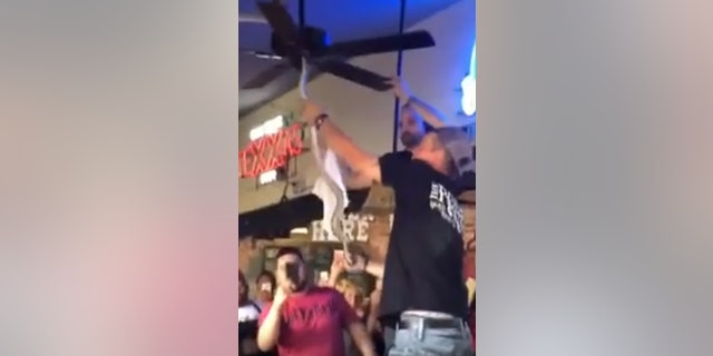 Patrons can he heard screaming after one staffer reaches out and snatches the snake by its head.
