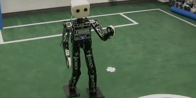 The NimbRo is the reigning world champion in robot soccer.