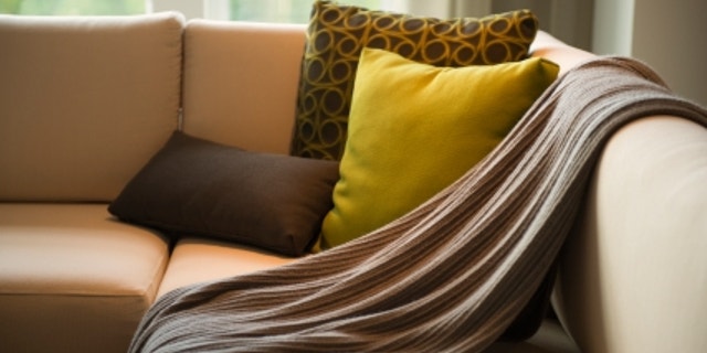 living room detail / for example a blanket / upon the sofa