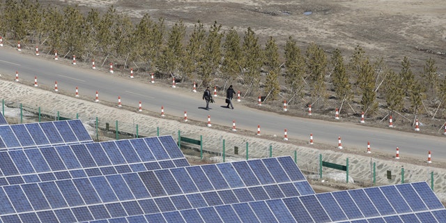 A solar park pictured in China in 2016. The NRDC has said it's worked with the Chinese government to implement environmental regulations and boost clean energy projects.
