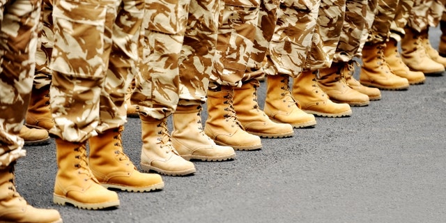 Veterans Day is celebrated this year on Nov. 11.