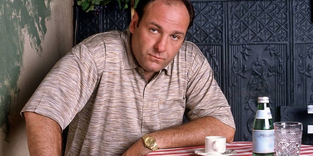 'The Sopranos' prequel movie will feature a young Tony Soprano.
