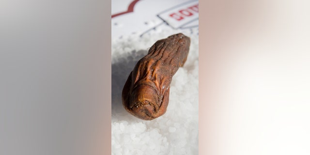 The bar reportedly has a collection of about 10 dismembered toes.
