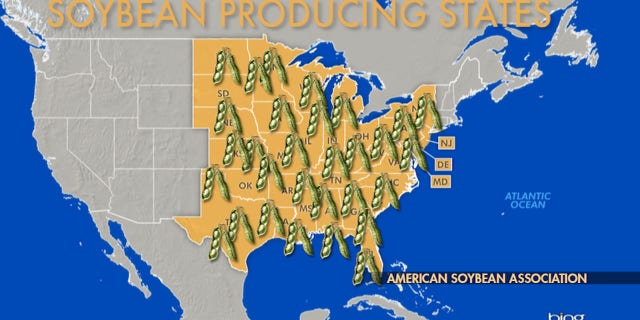 More than 300,000 soybean farmers in 30 states would be affected by price fluctuations of soybeans as a result of ongoing trade tensions with China.