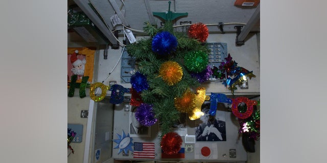 Space Station Christmas Tree from a former Expedition