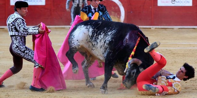 July 9, 2016: Bullfighter Victor Barrio, on the ground at right, is attacked by a bull in Teruel, Spain. Barrio later died in a hospital