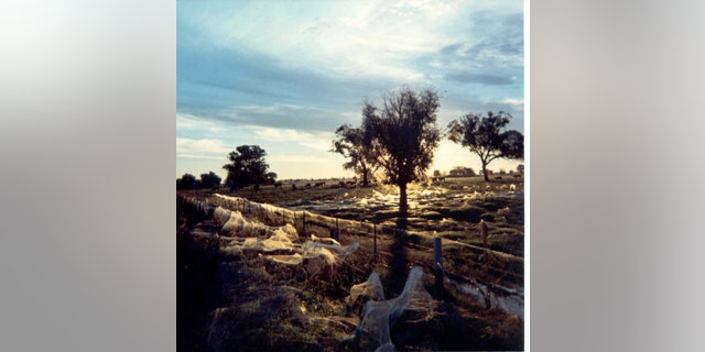 The photograph was taken by Kevin Dixon, sent to Keith Basterfield. It was taken in May 1974 in Albury, New South Wales, Australia.