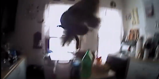 This framegrab shows the squirrel mid-flight before colliding with the police officer.