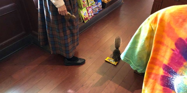 The visitors were told this isn't the first time the squirrel has stolen M&M's, though it might be the first time he was captured on camera.