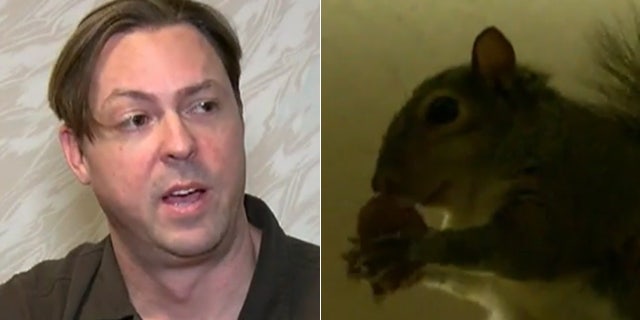 Ryan Boylan claims his squirrel Brutis is a support animal for his PTSD.