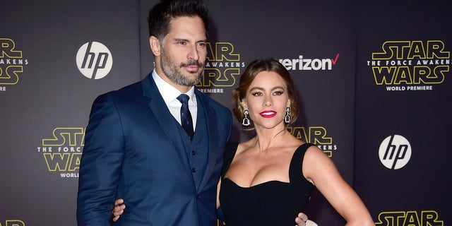 Sofia Vergara and Joe Manganiello married in November 2015.