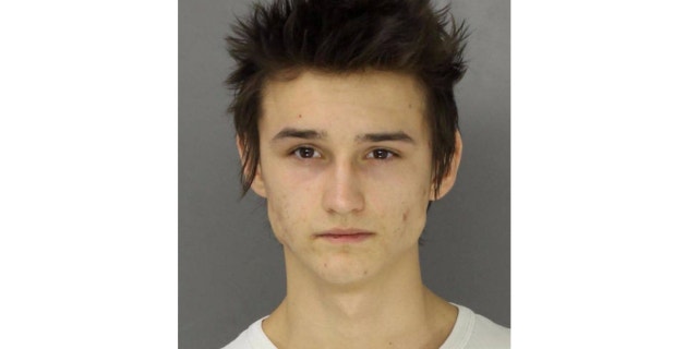 UNDATED: Vladislav Miftakhov, 19, was arrested on suspicion of possessing a weapon of mass destruction, authorities in Pennsylvania said.