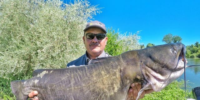 Sean Moffett caught the "monster" catfish Saturday in Clear Lake. (TacticalBassin.com)