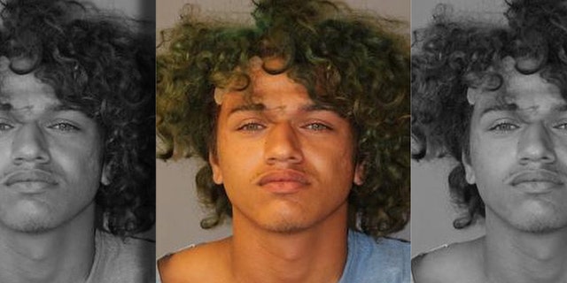 Mugshot for Stephen Brown, 23,