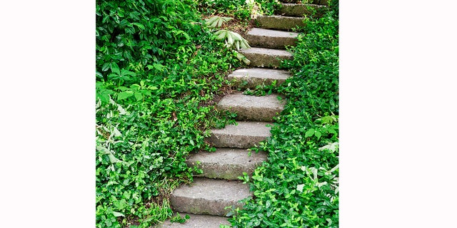 Getting over overwhelm takes one small step at a time.