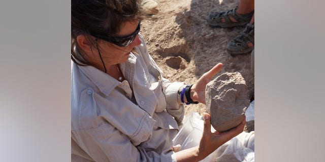 Sammy Lokorodi, a resident of Kenya's northwestern desert who works as a fossil and artifact hunter, led the way to a trove of 3.3 million-year-old tools.