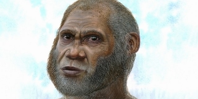 A newly found Stone Age people featured darker skin, an unusual mix of primitive and modern features and likely had a taste for venison.