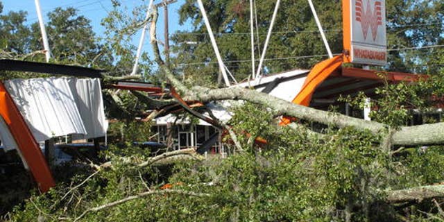 A large oak tree toppled over a Whataburger restaurant in Tallahassee, Fla., Sept. 2, 2016. Many businesses and homes in Tallahassee are without power and several roads are blocked due to tree damage caused by Hurricane Hermine. (AP Photo/Brendan Farrington)