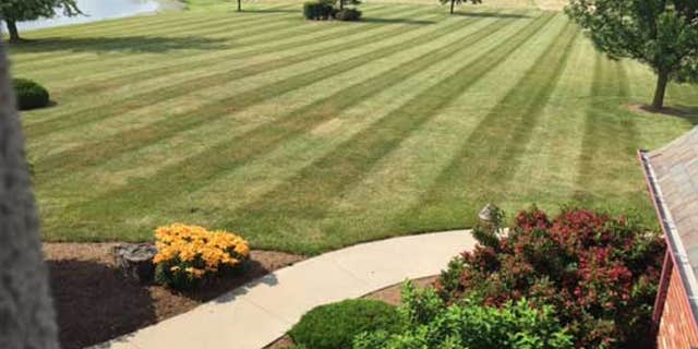 8 landscaping tricks that can save you money