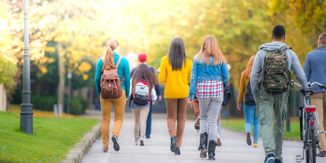 students_walking2