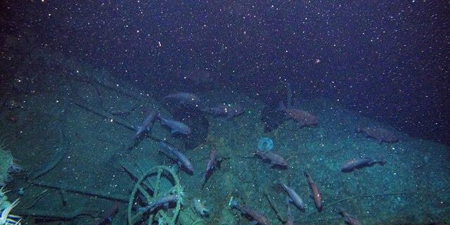 The submarine has been missing for more than 103 years.