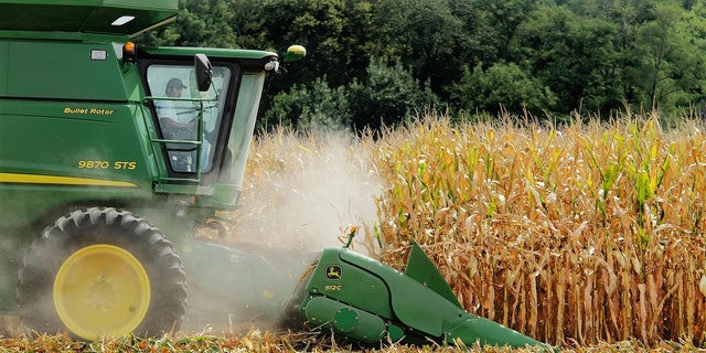 A farmer harvests corn near Farmingdale, Illinois, Aug. 30, 2011. (AP Photo/Seth Perlman, File)