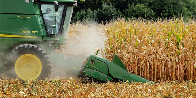 A farmer harvests corn near Farmingdale, Illinois, Aug. 30, 2011. (AP Photo/Seth Perlman, File)