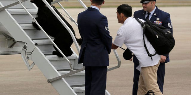 An 18-year-old visiting the White House was reportedly bitten by the Obama's dog, Sunny