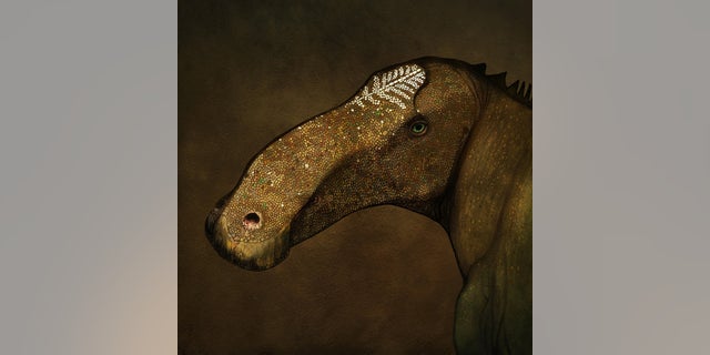 Artist's reconstruction of the head of Probrachylophosaurus bergei in life.