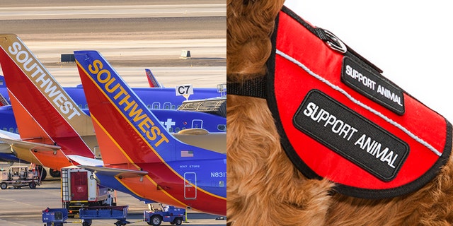 flying with emotional support dog southwest