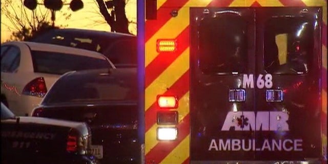 A woman and 11 children held hostage during a standoff were rescued by a SWAT team.
