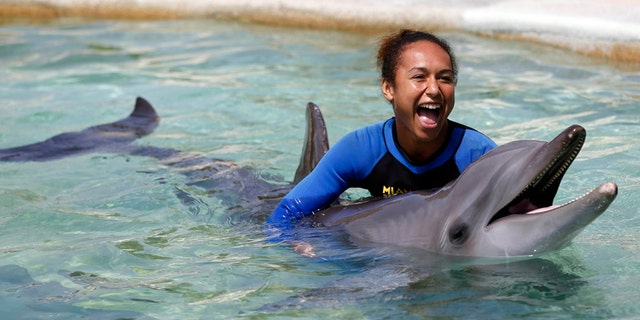 swimming with dolphins reuters