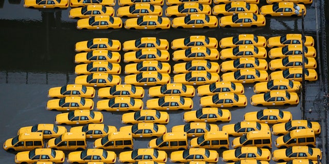 Flood damaged taxis in Weehawken, NJ, are among the thousands of cars that will need to be repaired or replaced in the coming weeks in the aftermath of superstorm Sandy.