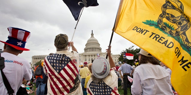 FILE: June 19, 2013: Tea Party activists rallying in front of the U.S. Capitol in Washington, D.C.
