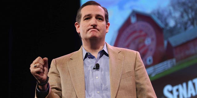 Sen. Ted Cruz at the Iowa Freedom Summit on January 24, 2015 in Des Moines, Iowa.