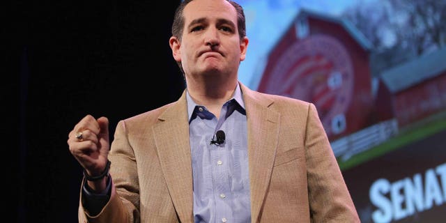 Sen. Ted Cruz at the Iowa Freedom Summit on January 24, 2015 in Des Moines, Iowa.