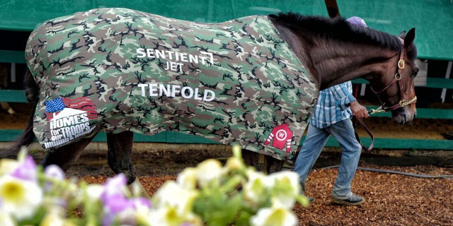 Tenfold, a three-year-old thoroughbred, is looking to beat Justify at the Belmont Stakes Saturday running in support of Homes For Our Troops, a nonprofit that builds homes for severely injured post-9/11 veterans.