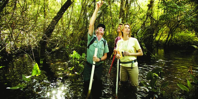 Naples, Marco Island, Everglades CVB